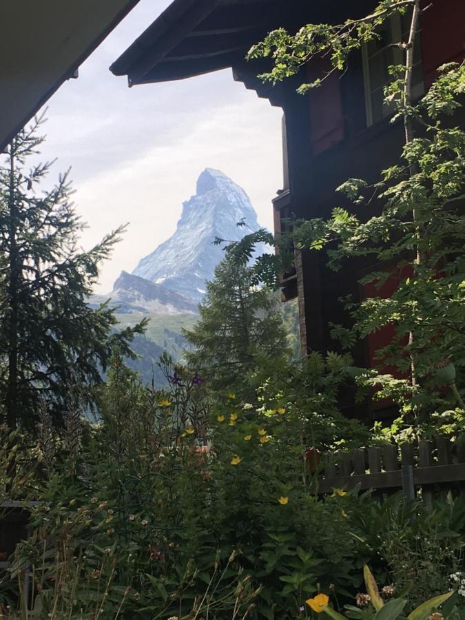 Mountain Apartments Zermatt Nr 6 Dış mekan fotoğraf